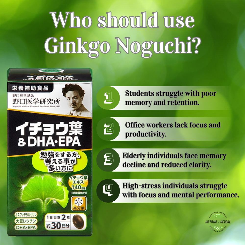 Noguchi DHA EPA Ginkgo Japanese brain tonic pills