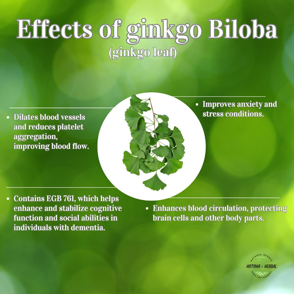 Noguchi DHA EPA Ginkgo Japanese brain tonic pills